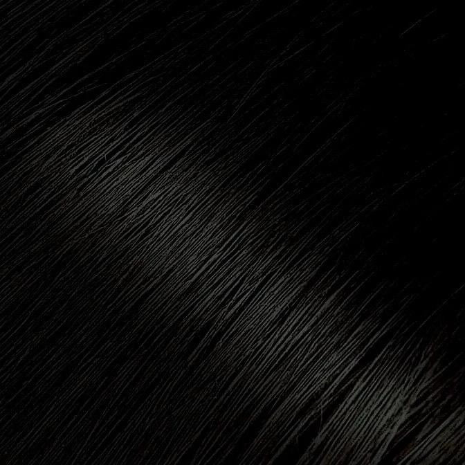 Bigen Powder Hair Color - Long-Lasting Hair Dye for Gray Coverage