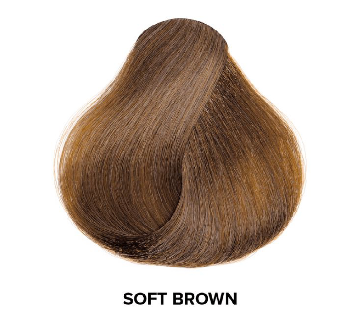 L’Oréal HiColor HiLights for Dark Hair – Permanent Hair Colors Hair Dyes