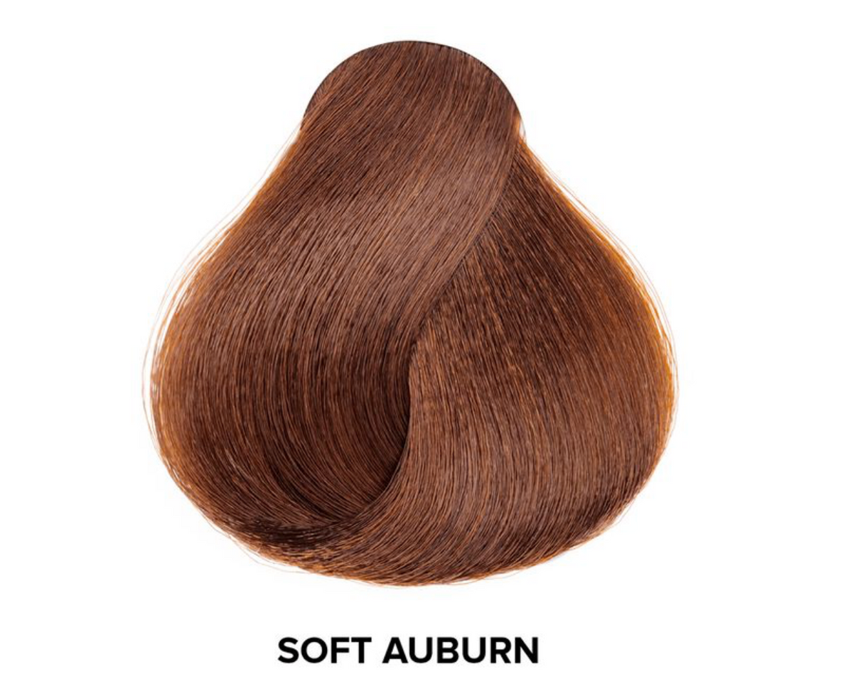 L’Oréal HiColor HiLights for Dark Hair – Permanent Hair Colors Hair Dyes